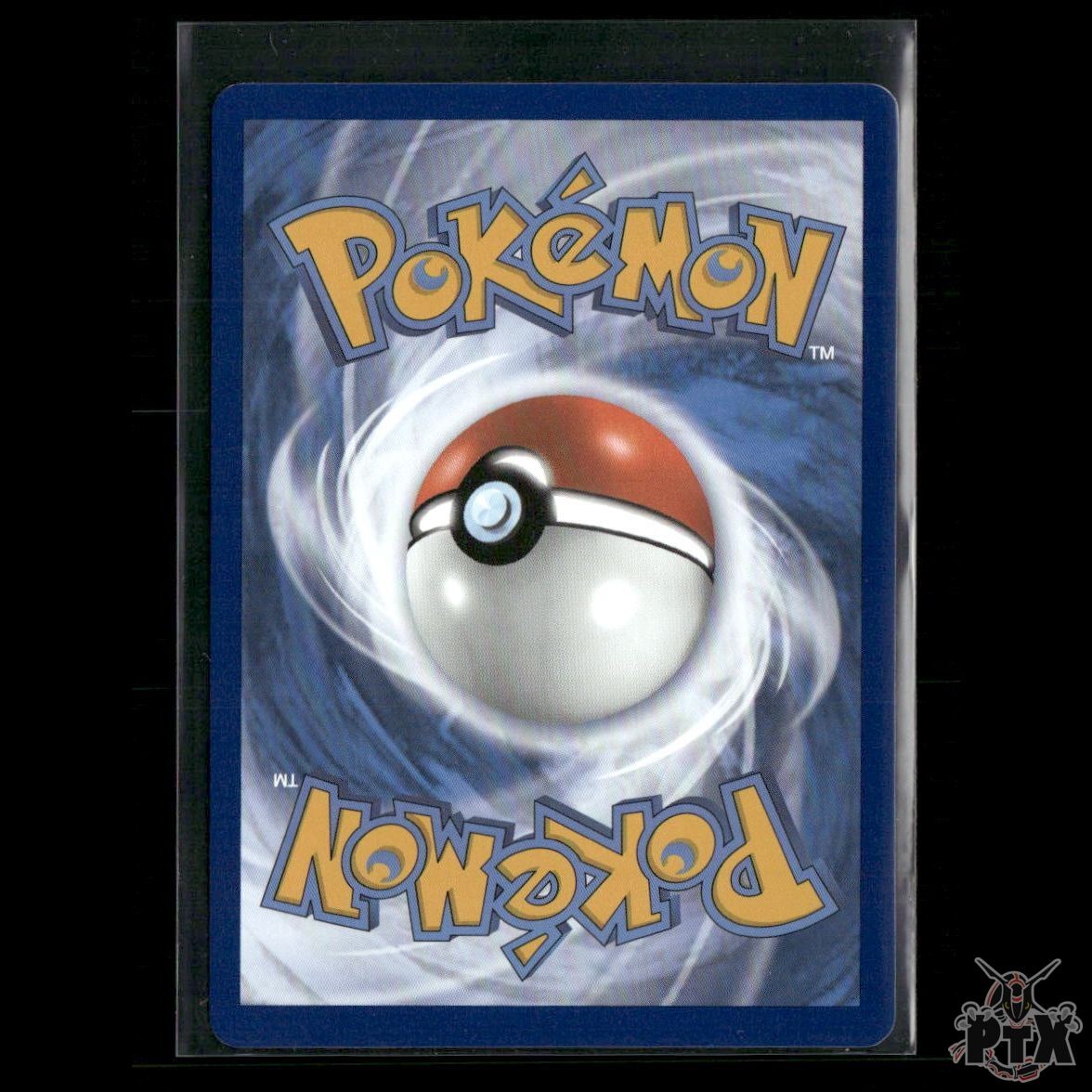 Raihan (Secret) 224/203 SWSH07: Evolving Skies NM Pokemon 2021