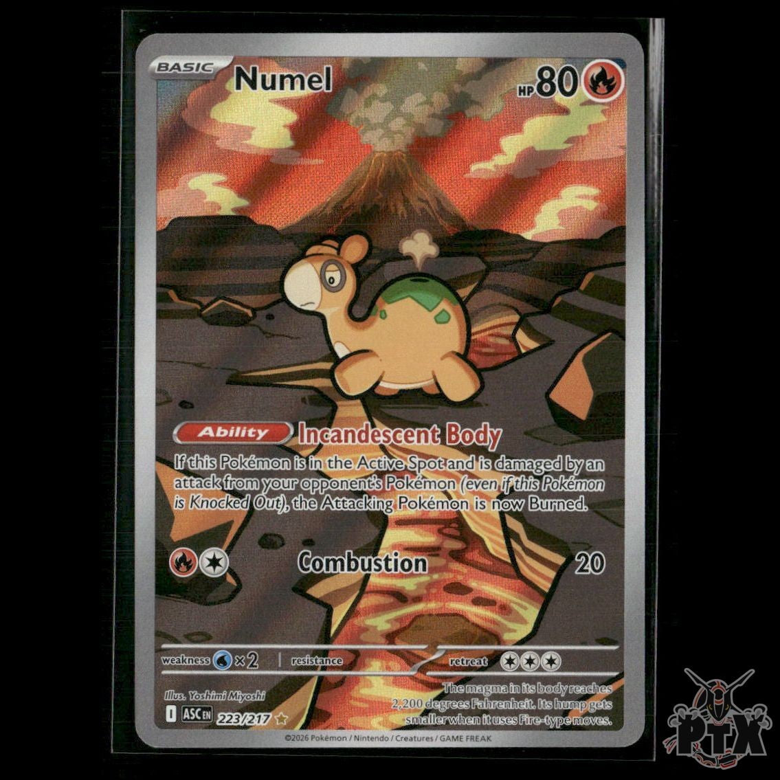 Numel 223/217 ME: Ascended Heroes NM Pokemon