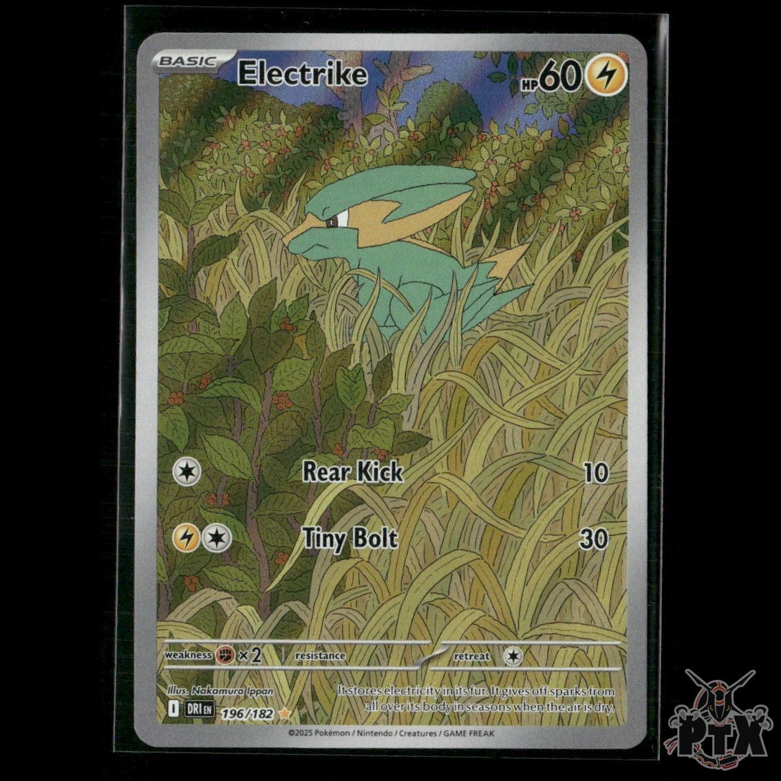 Electrike 196/182 SV10: Destined Rivals NM Pokemon