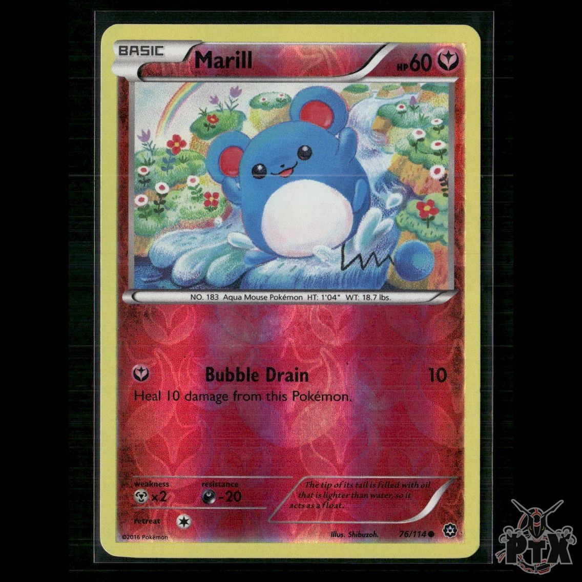 Marill 76/114 XY - Steam Siege NM Pokemon