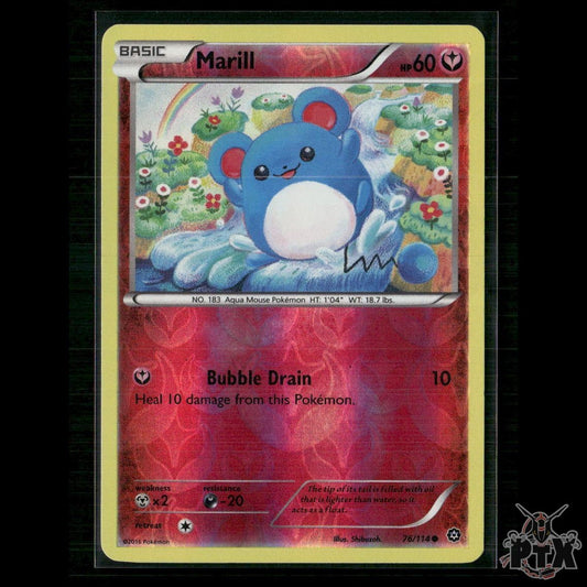 Marill 76/114 XY - Steam Siege NM Pokemon