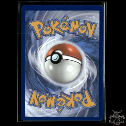 Survival Brace 164/167 SV06: Twilight Masquerade NM Pokemon
