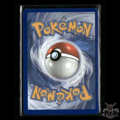 Charizard V SWSH050 SWSH: Sword & Shield Promo Cards NM Pokemon