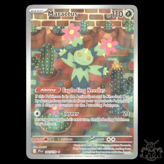 Maractus #160/159 Journey Together NM/Near Mint Pokemon 2025