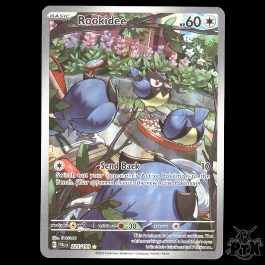 Rookidee #225/193 Paldea Evolved NM/Near Mint Pokemon 2023