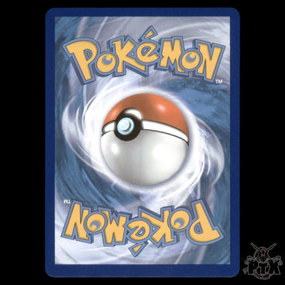 Pikachu V-Union #SWSH141 Sword & Shield Promo NM/Near Mint Pokemon 2021
