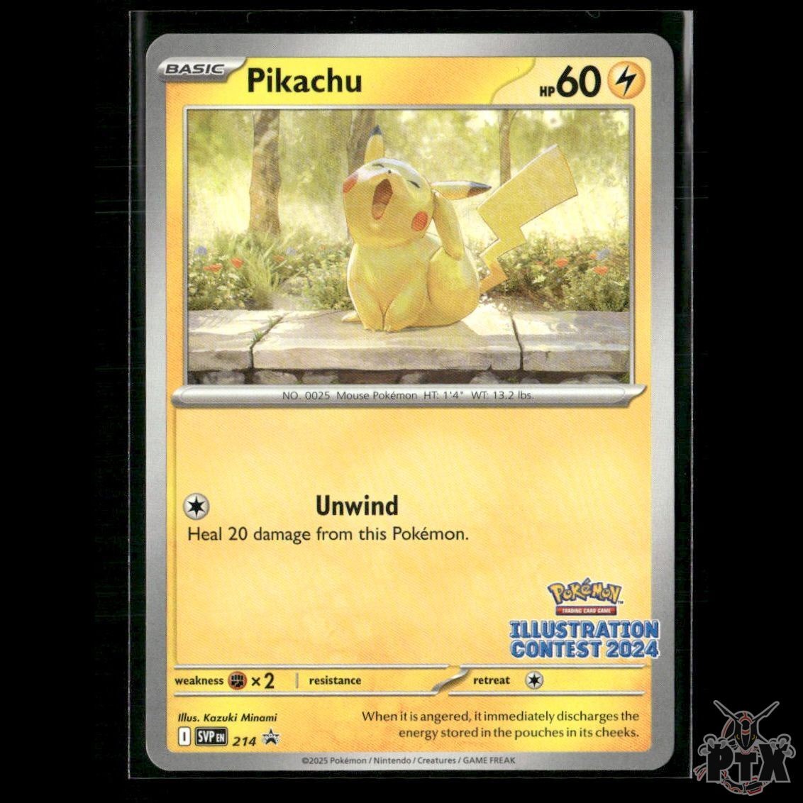 Pikachu (Illustration Contest 2024) 214 SV: Scarlet & Violet Promo NM Pokemon