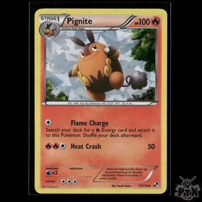 Pignite 17/114 (Cracked Ice Holo) Black & White Promo NM Pokemon