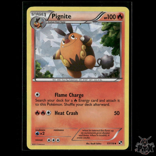 Pignite 17/114 (Cracked Ice Holo) Black & White Promo NM Pokemon