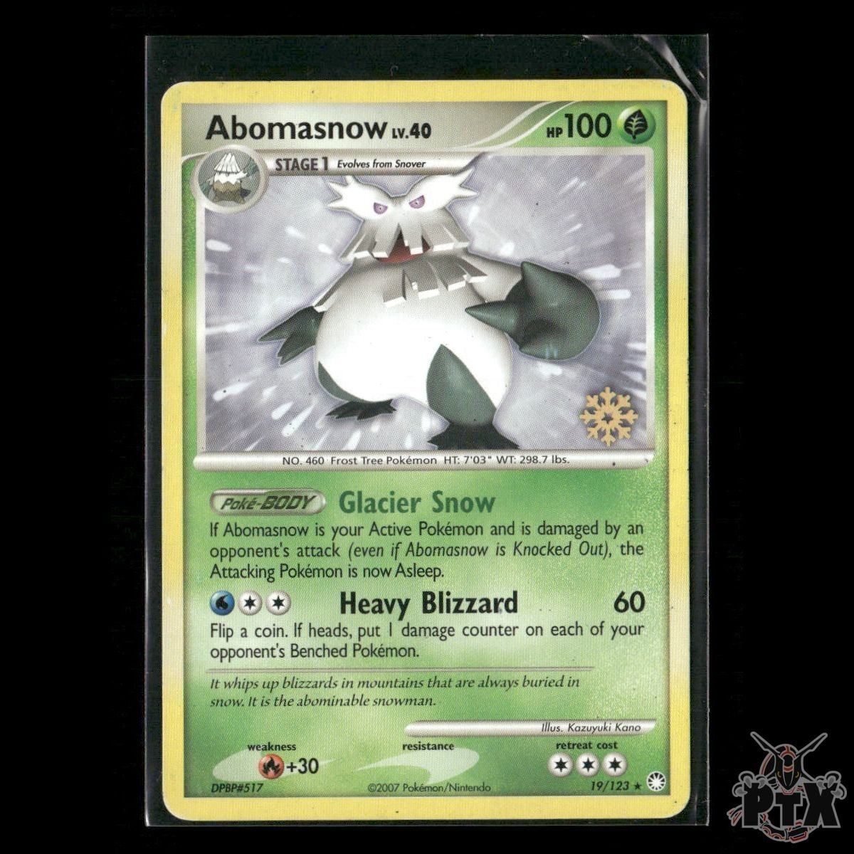 Abomasnow 19/123 Countdown Calendar Promos HP Pokemon