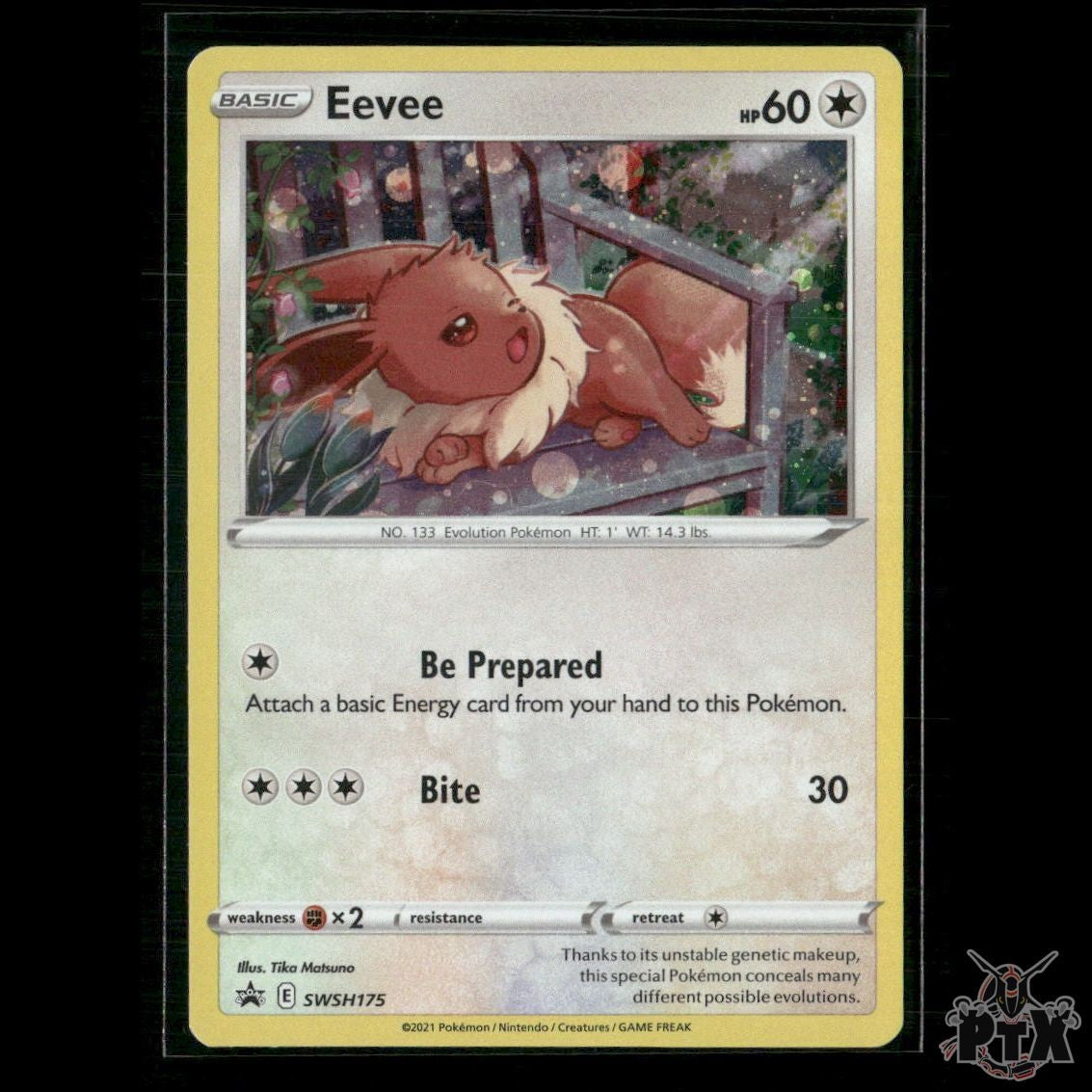 Eevee SWSH175 SWSH: Sword & Shield Promo Cards NM Pokemon