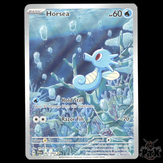 Horsea #067/064 Shrouded Fable NM/Near Mint Pokemon 2024