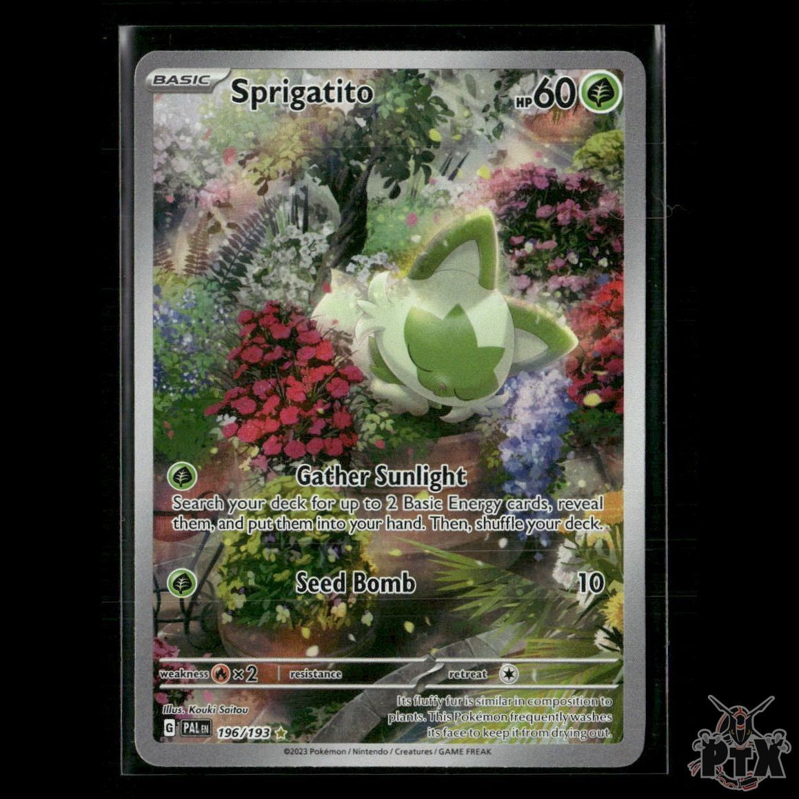 Sprigatito 196/193 SV02: Paldea Evolved NM Pokemon