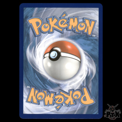 Houndoom V #178/189 Darkness Ablaze NM/Near Mint Pokemon 2020