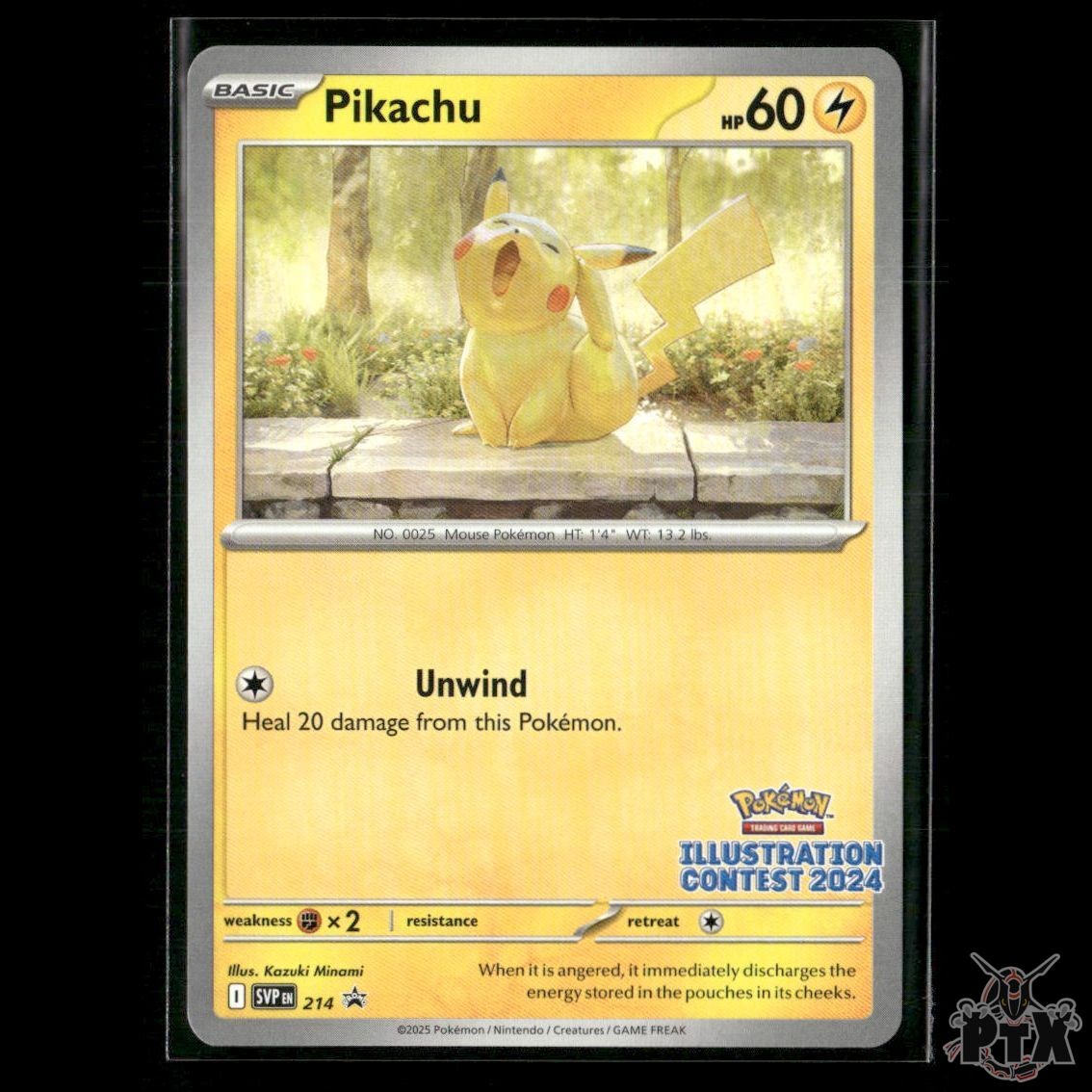 Pikachu (Illustration Contest 2024) 214 SV: Scarlet & Violet Promo NM Pokemon