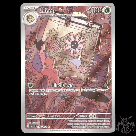 Lileep #145/142 Stellar Crown NM/Near Mint Pokemon 2024