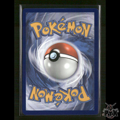 Charizard V SWSH260 SWSH: Sword & Shield Promo Cards NM Pokemon