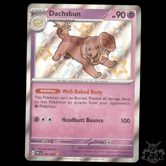Dachsbun 161/091 SV: Paldean Fates NM Pokemon