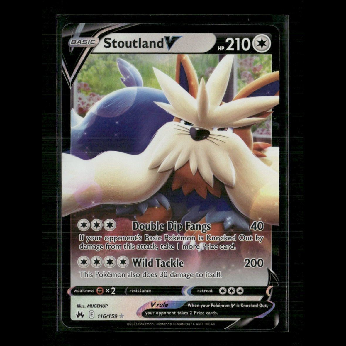 Stoutland V 116/159 SWSH: Crown Zenith NM Pokemon