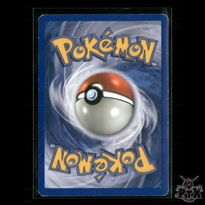 Minun Holo 6/12 EX Trainer Kit 2: Plusle & Minun MP Pokemon