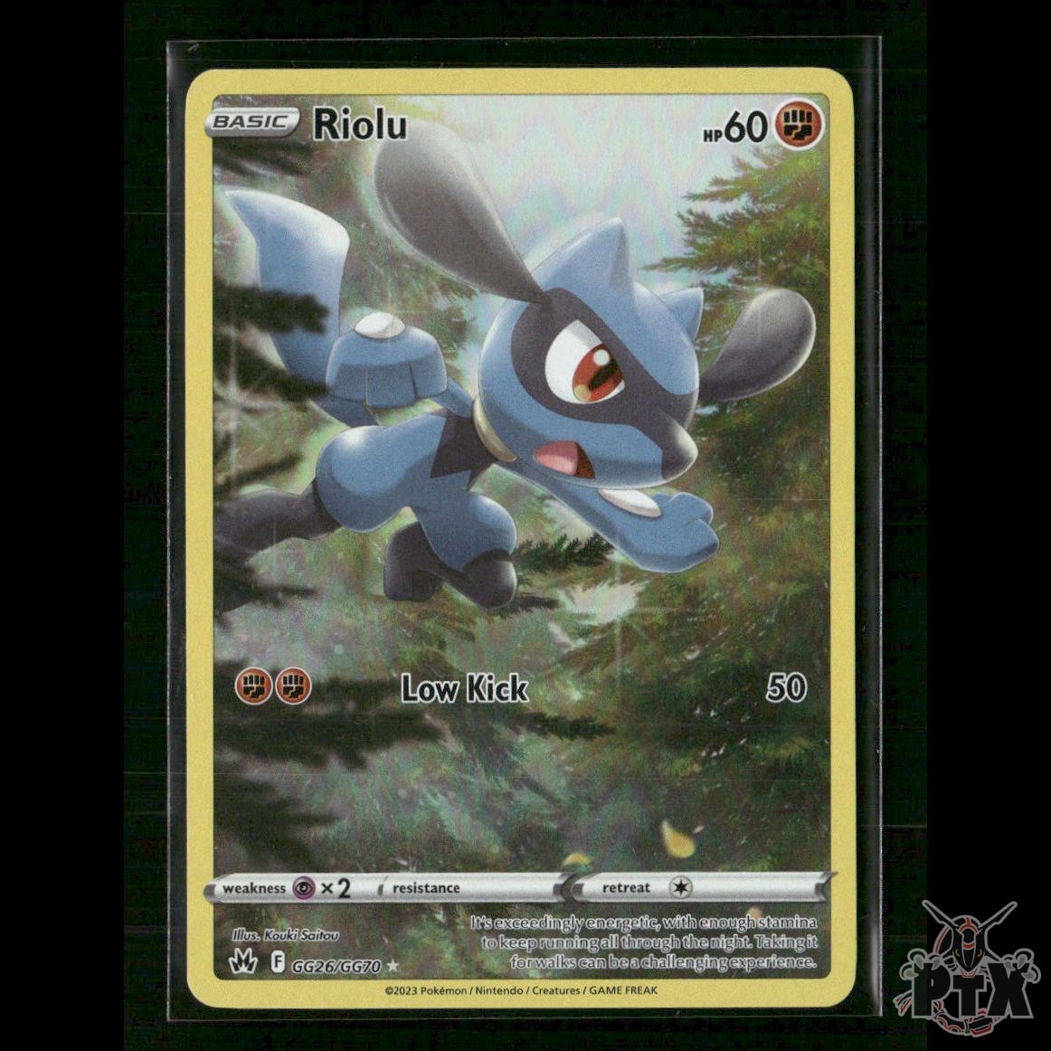 Riolu GG26/GG70 SWSH: Crown Zenith: Galarian Gallery NM Pokemon