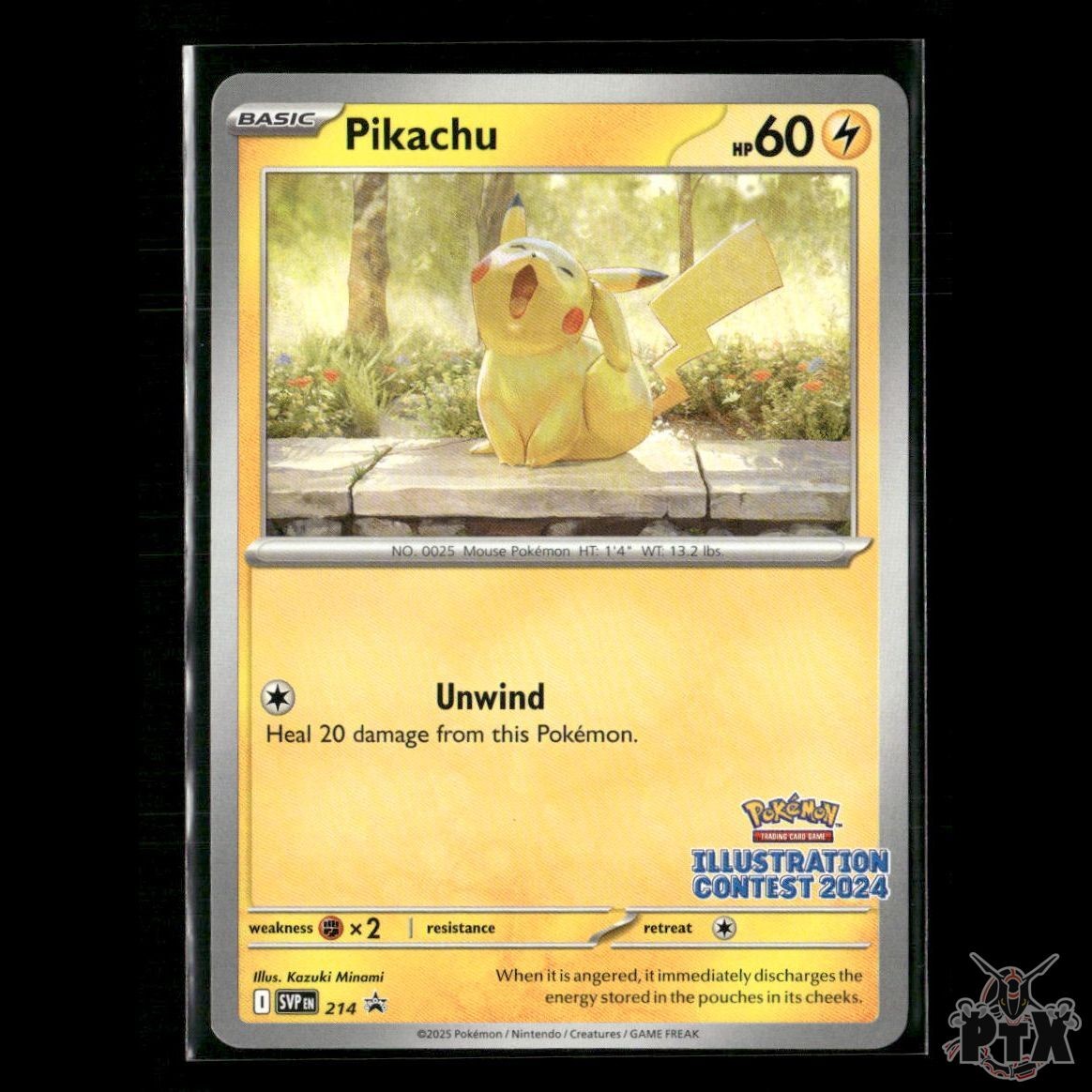 Pikachu (Illustration Contest 2024) 214 SV: Scarlet & Violet Promo NM Pokemon