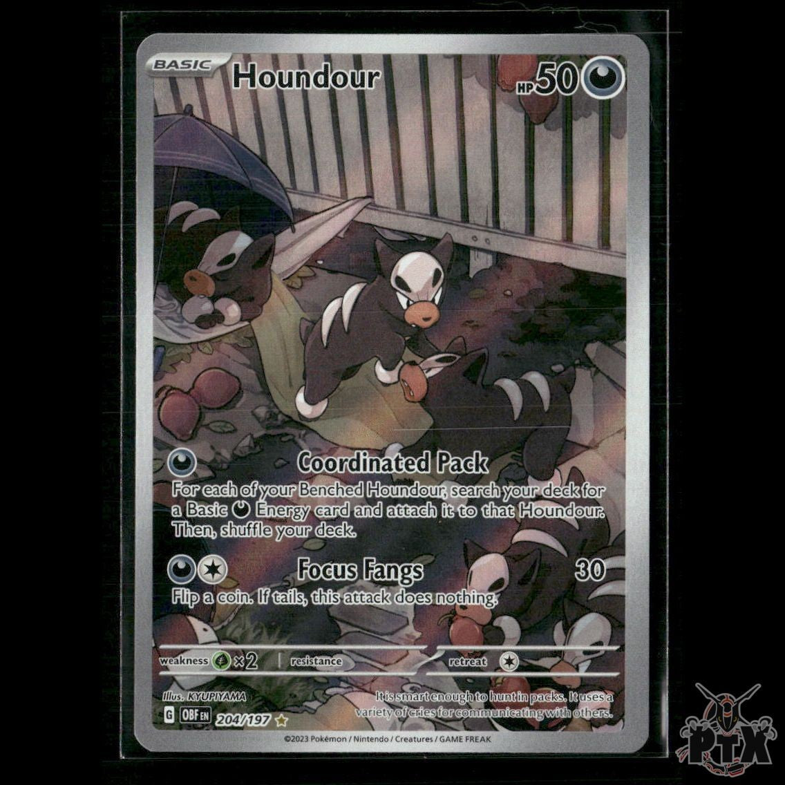 Houndour 204/197 SV03: Obsidian Flames NM Pokemon
