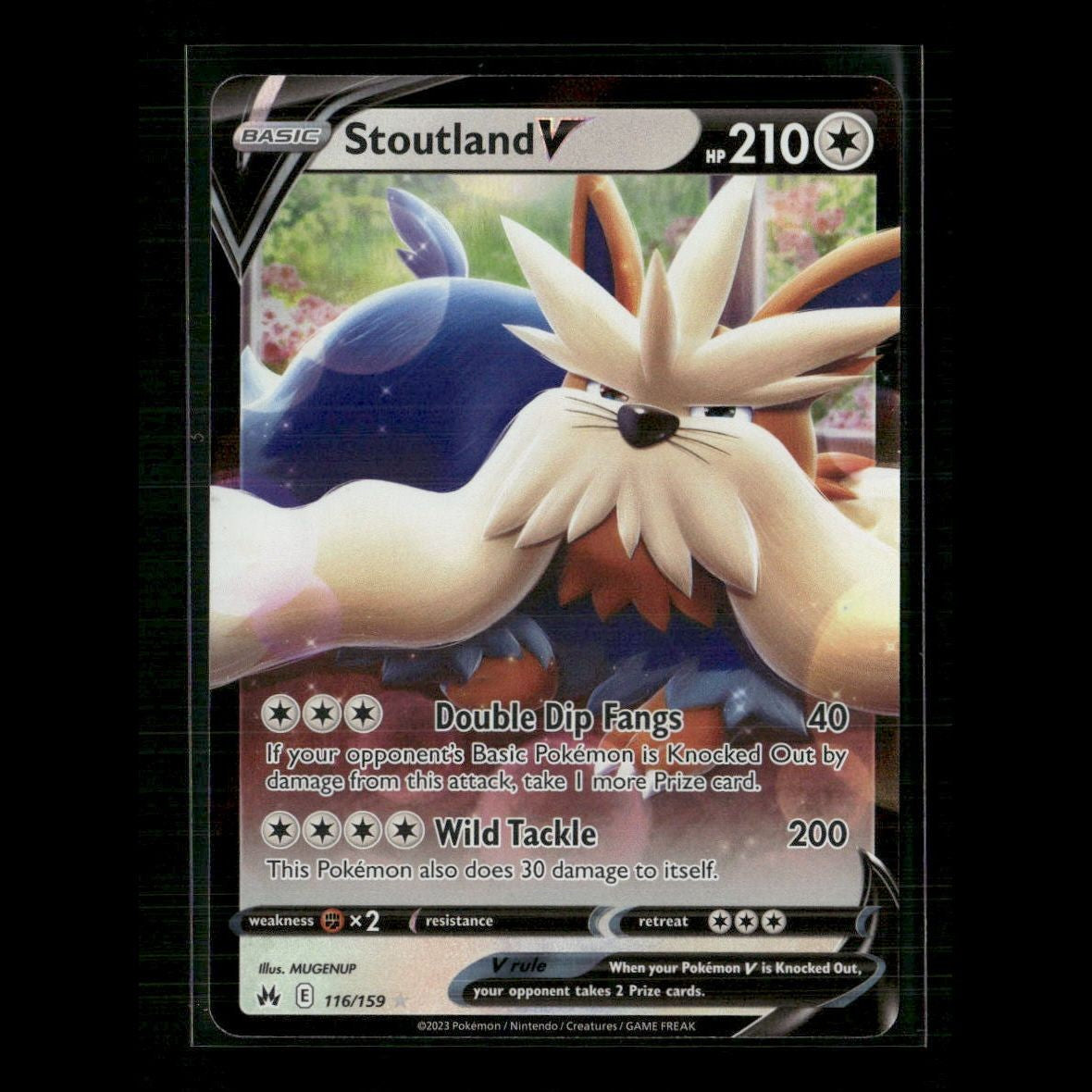 Stoutland V 116/159 SWSH: Crown Zenith NM Pokemon