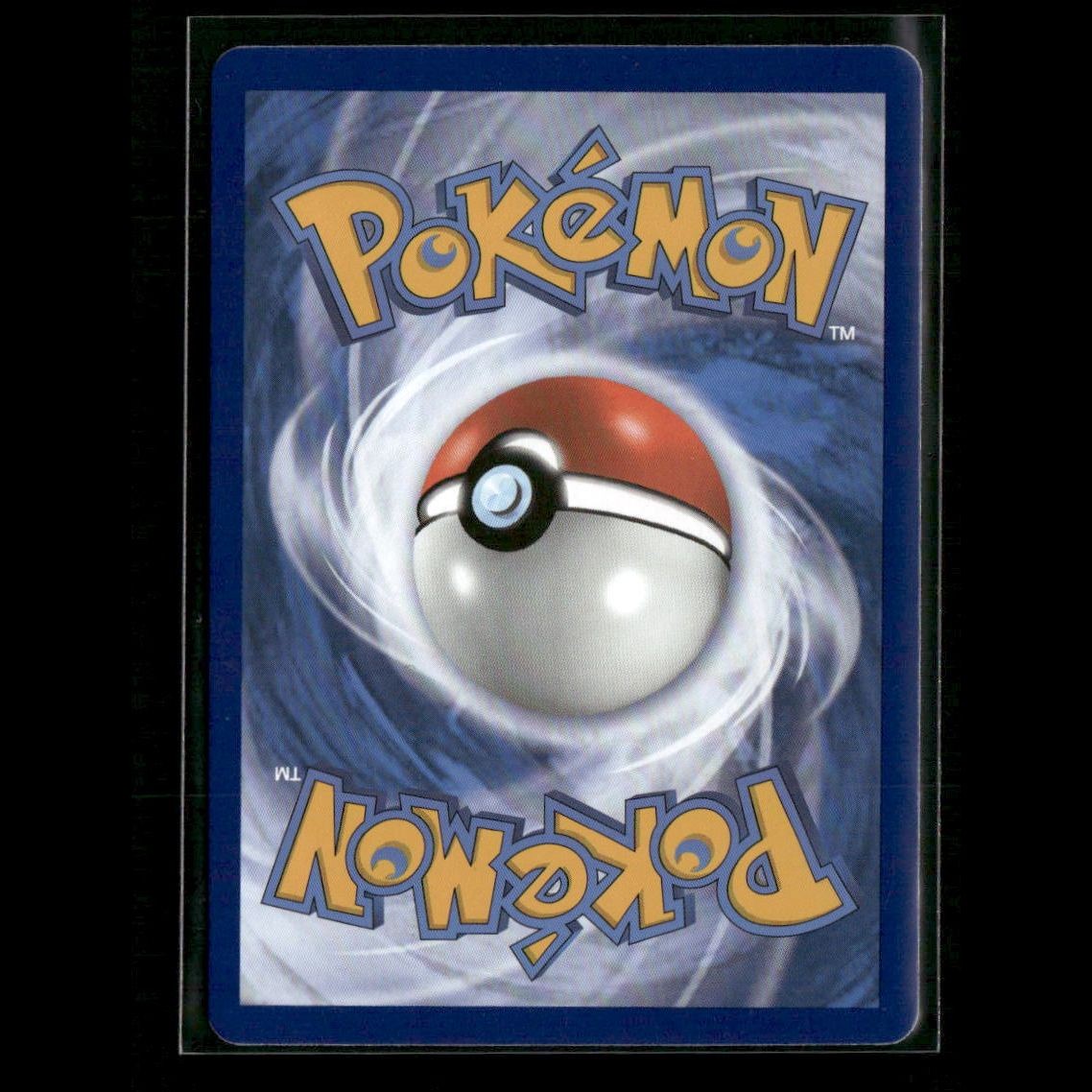 Raihan (Secret) 224/203 SWSH07: Evolving Skies NM Pokemon 2021