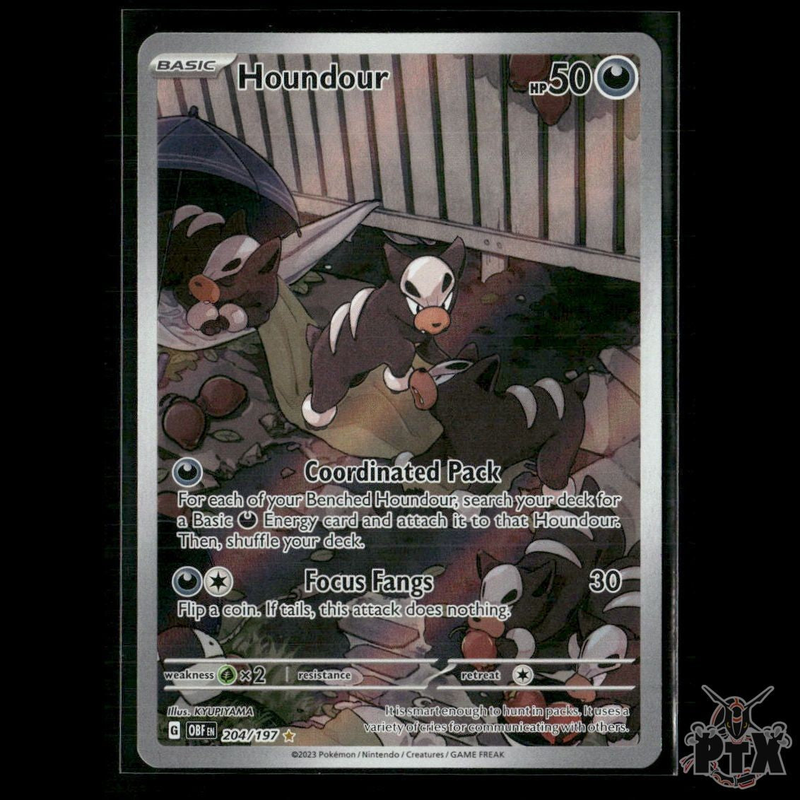 Houndour 204/197 SV03: Obsidian Flames NM Pokemon
