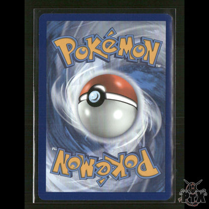 Charizard V SWSH050 SWSH: Sword & Shield Promo Cards NM Pokemon