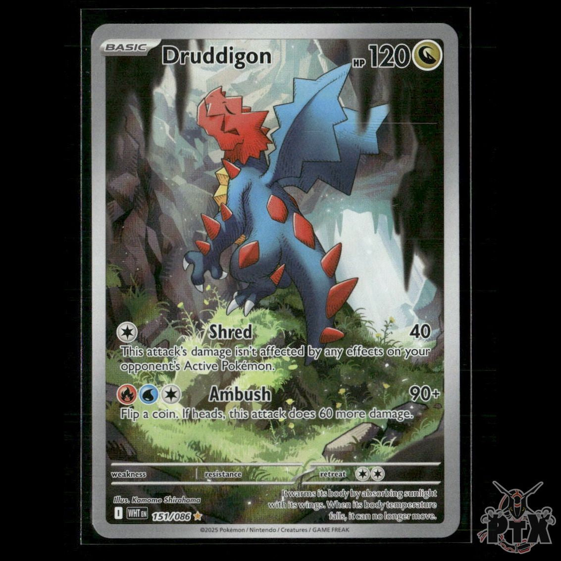 Druddigon 151/086 SV: White Flare NM Pokemon