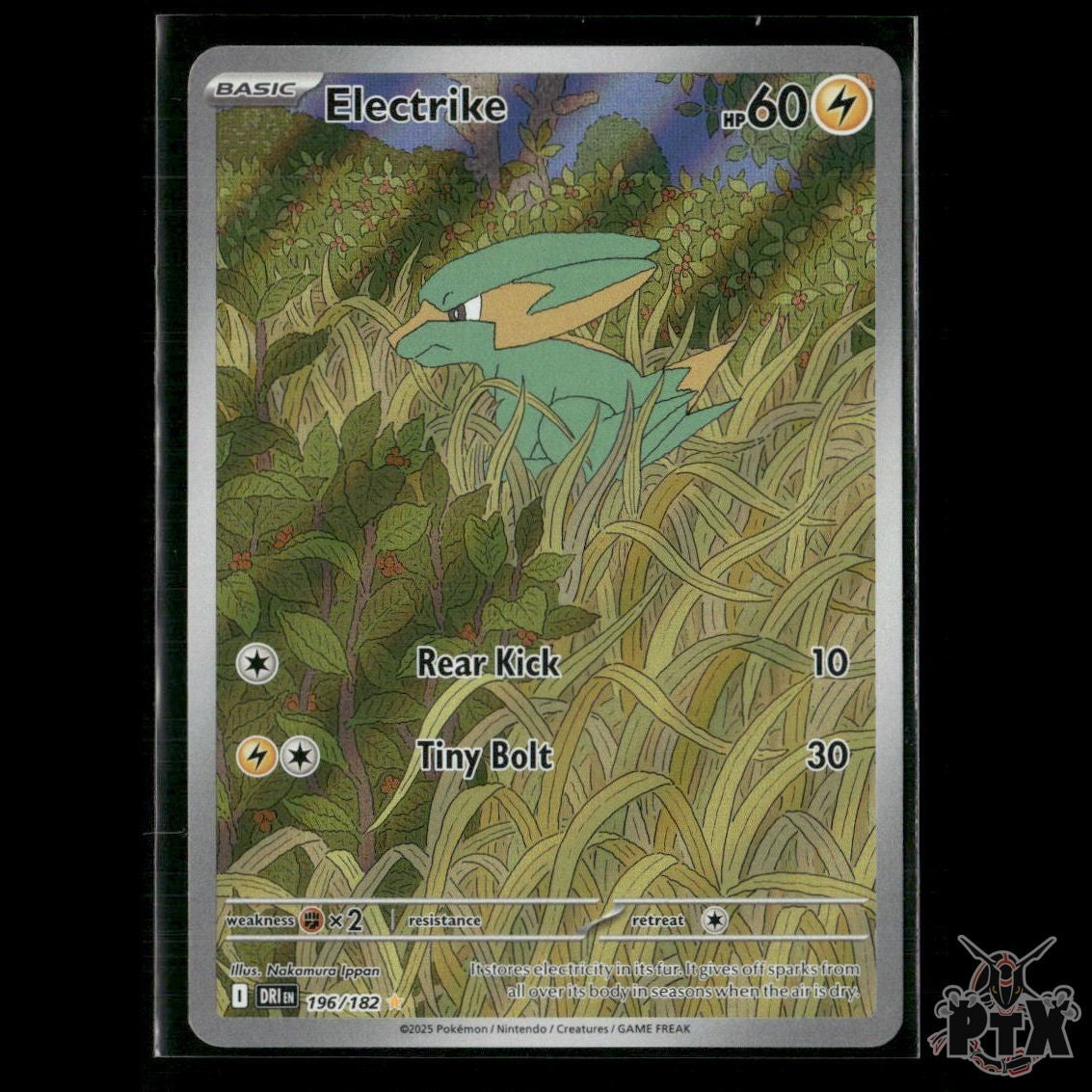 Electrike 196/182 SV10: Destined Rivals NM Pokemon
