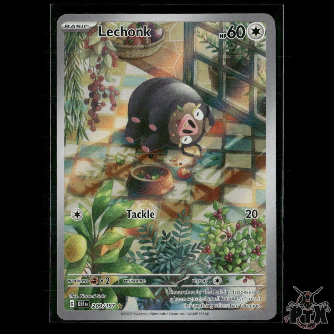 Lechonk 209/197 SV03: Obsidian Flames NM Pokemon