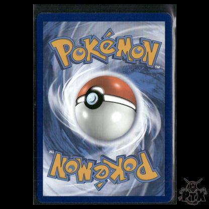 Saguaro 255/193 SV02: Paldea Evolved NM Pokemon 2023