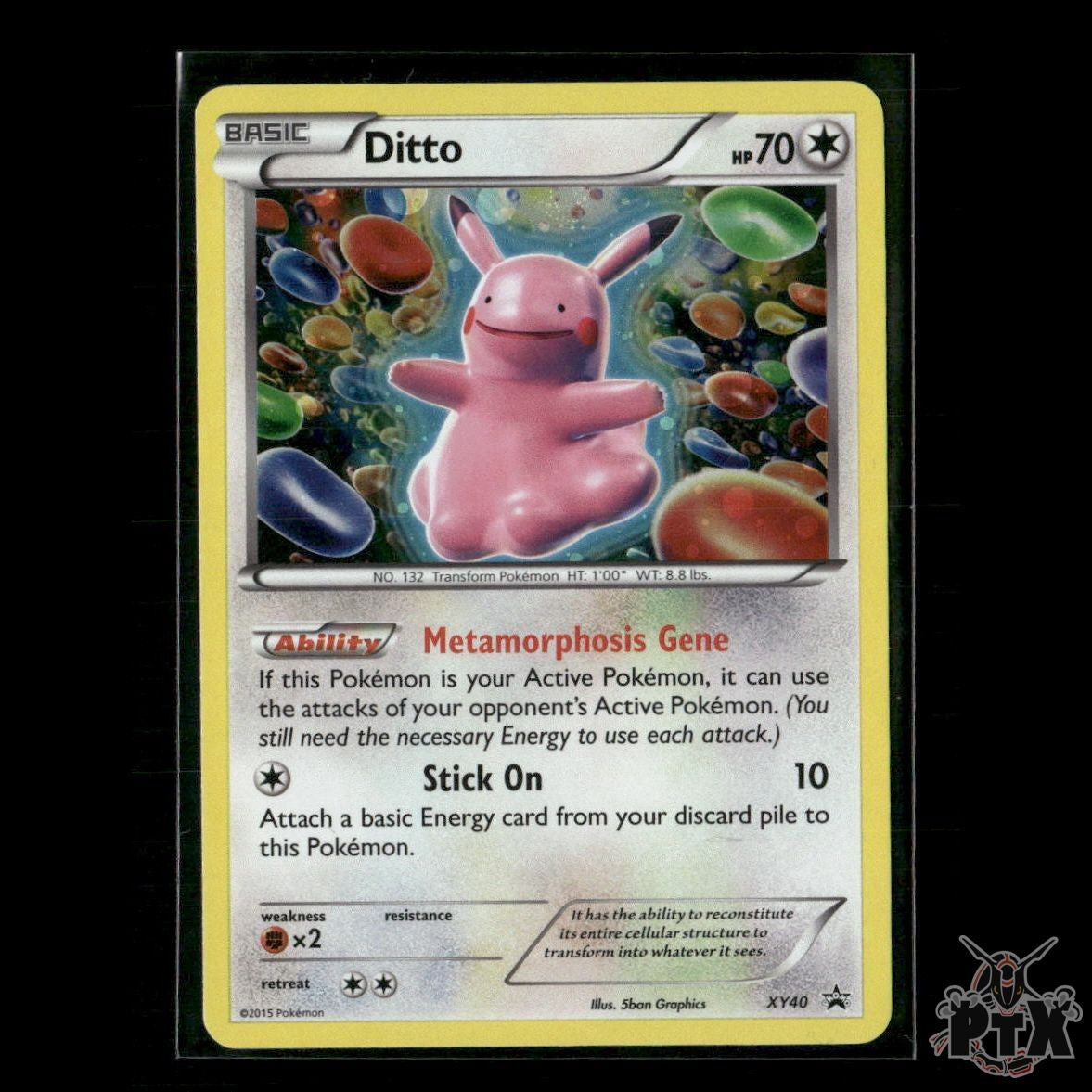 Ditto XY40 XY Promos LP Pokemon