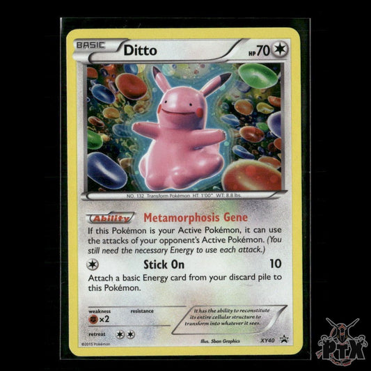 Ditto XY40 XY Promos LP Pokemon