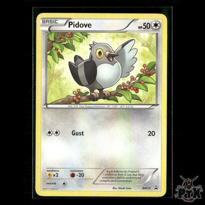 Pidove BW15 Black and White Promos LP Pokemon
