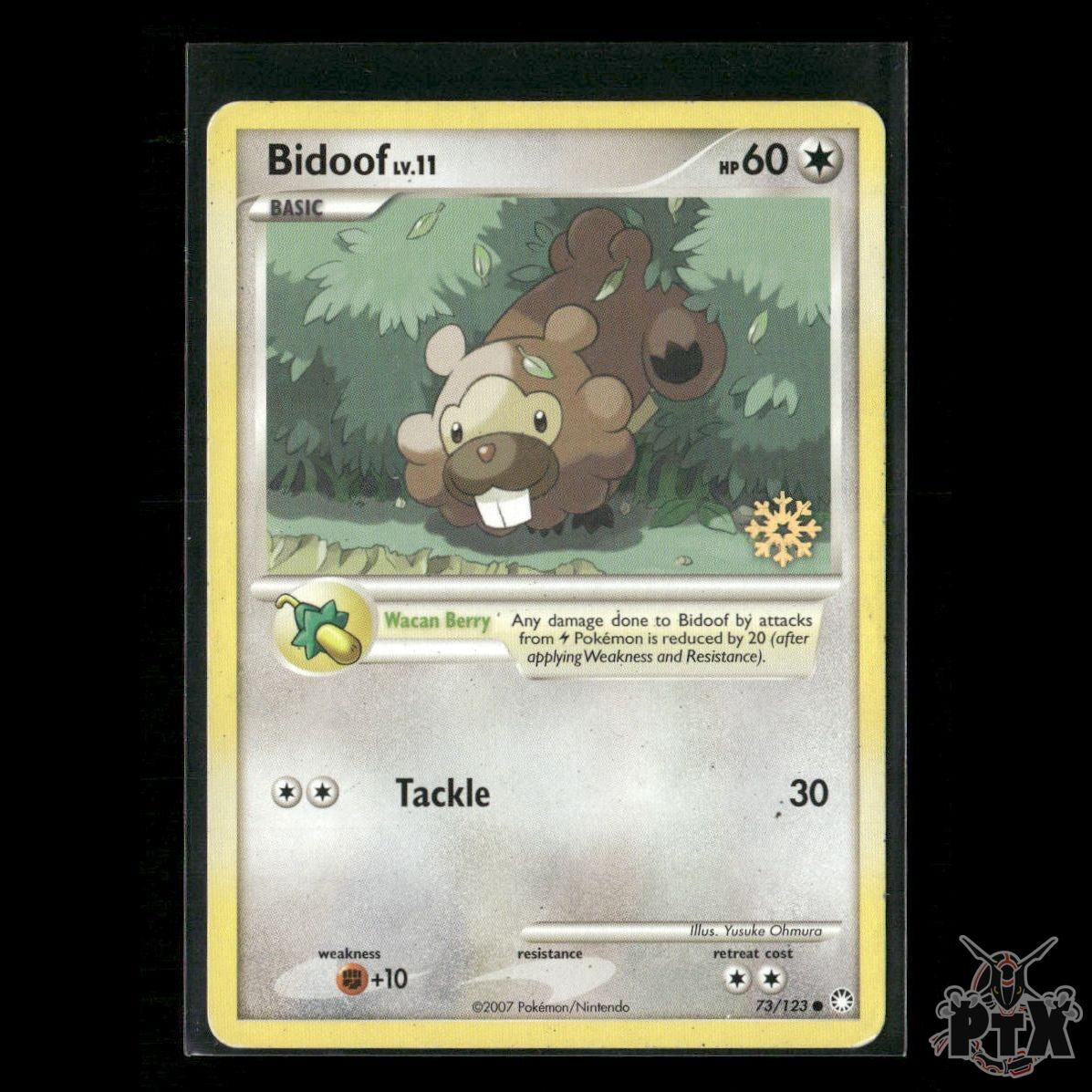 Bidoof 73/123 Countdown Calendar Promos HP Pokemon