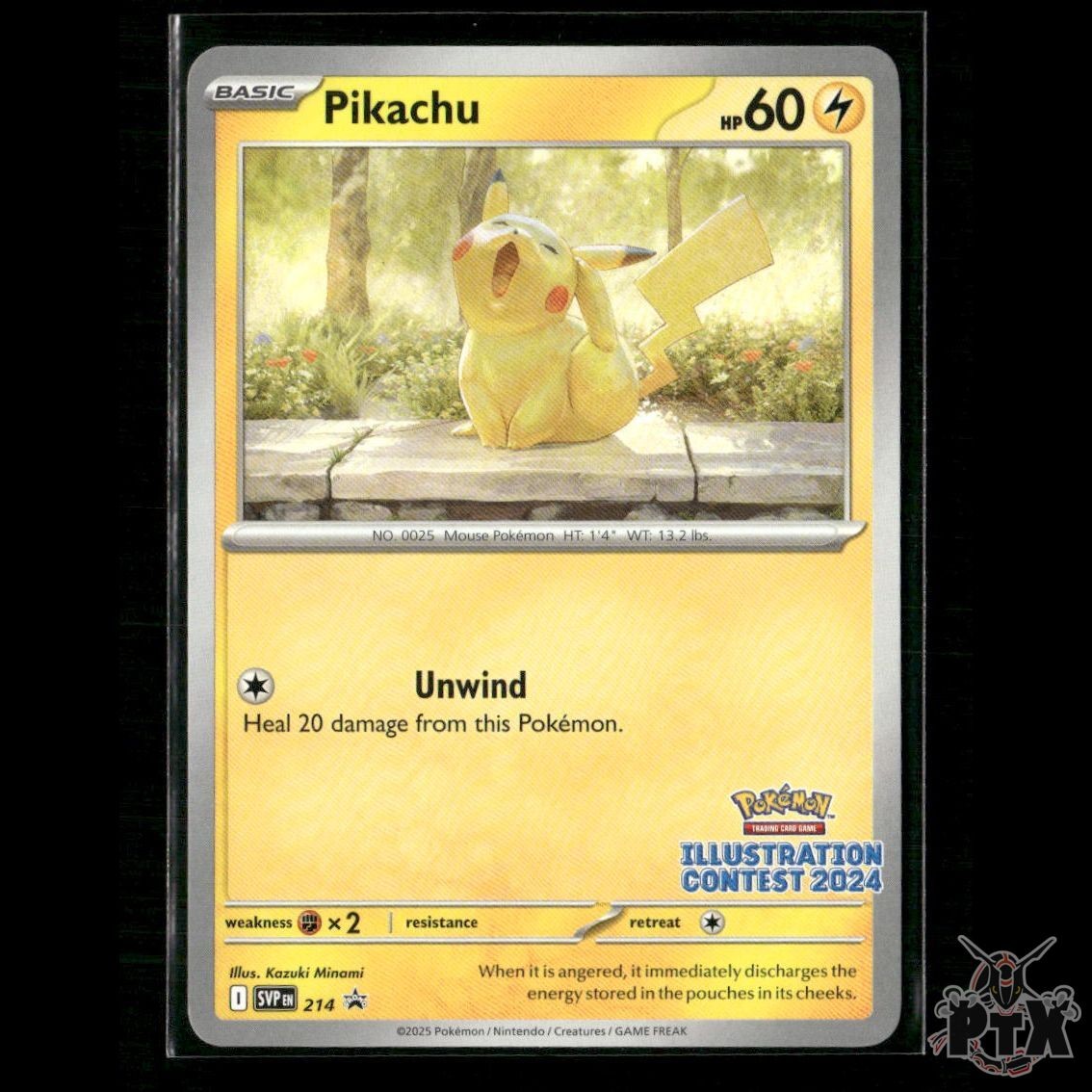 Pikachu (Illustration Contest 2024) 214 SV: Scarlet & Violet Promo NM Pokemon