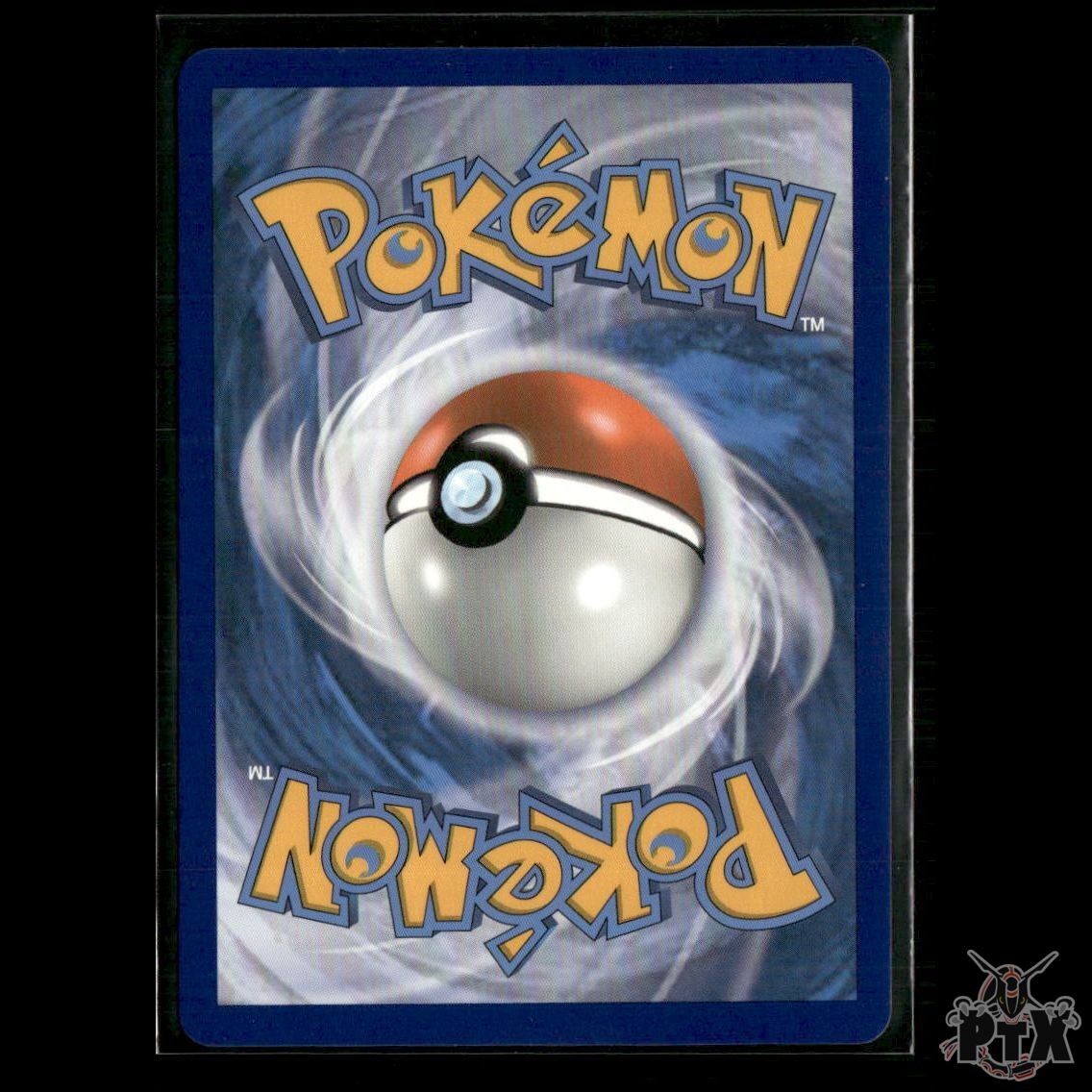 Charizard V 019/189 SWSH03: Darkness Ablaze NM Pokemon