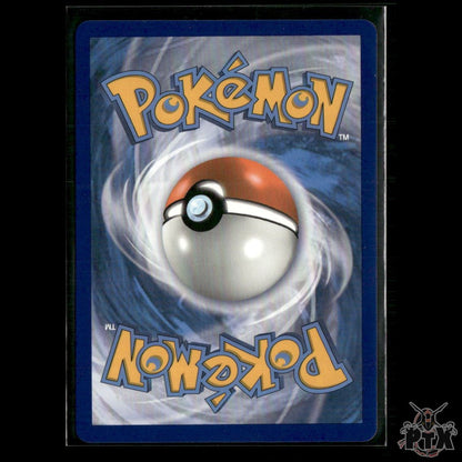 Charizard V 019/189 SWSH03: Darkness Ablaze NM Pokemon