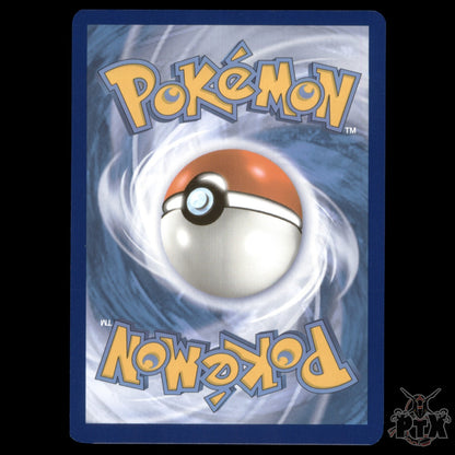 Lileep #145/142 Stellar Crown NM/Near Mint Pokemon 2024