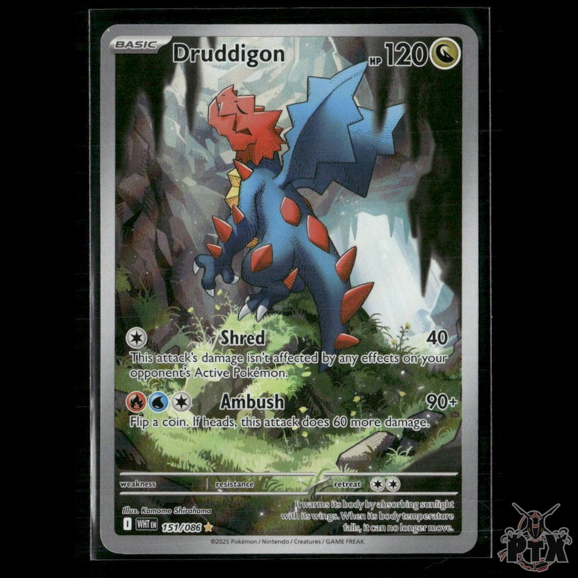 Druddigon 151/086 SV: White Flare NM Pokemon