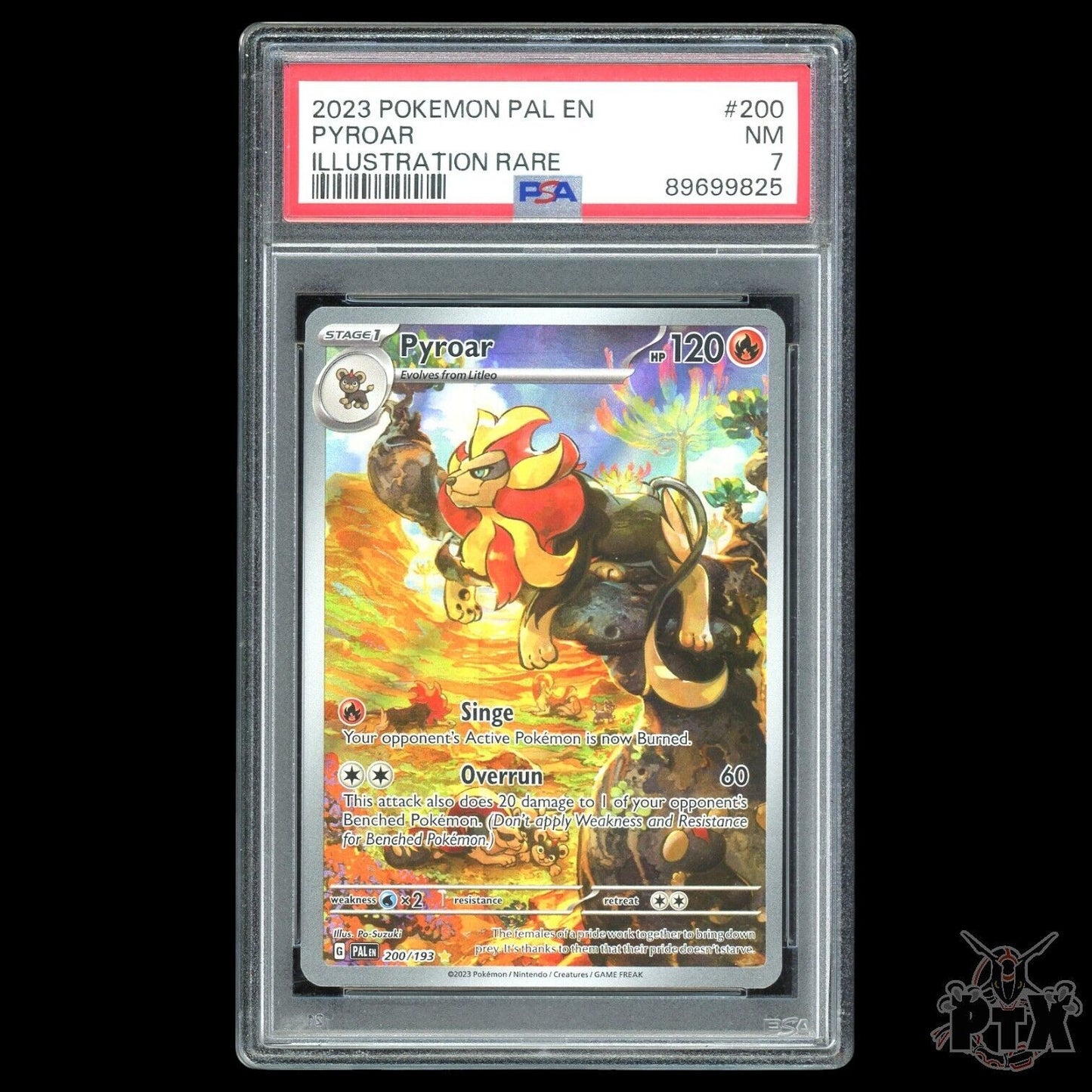 Pyroar #200/193 PSA 7 Paldea Evolved Pokemon 2023
