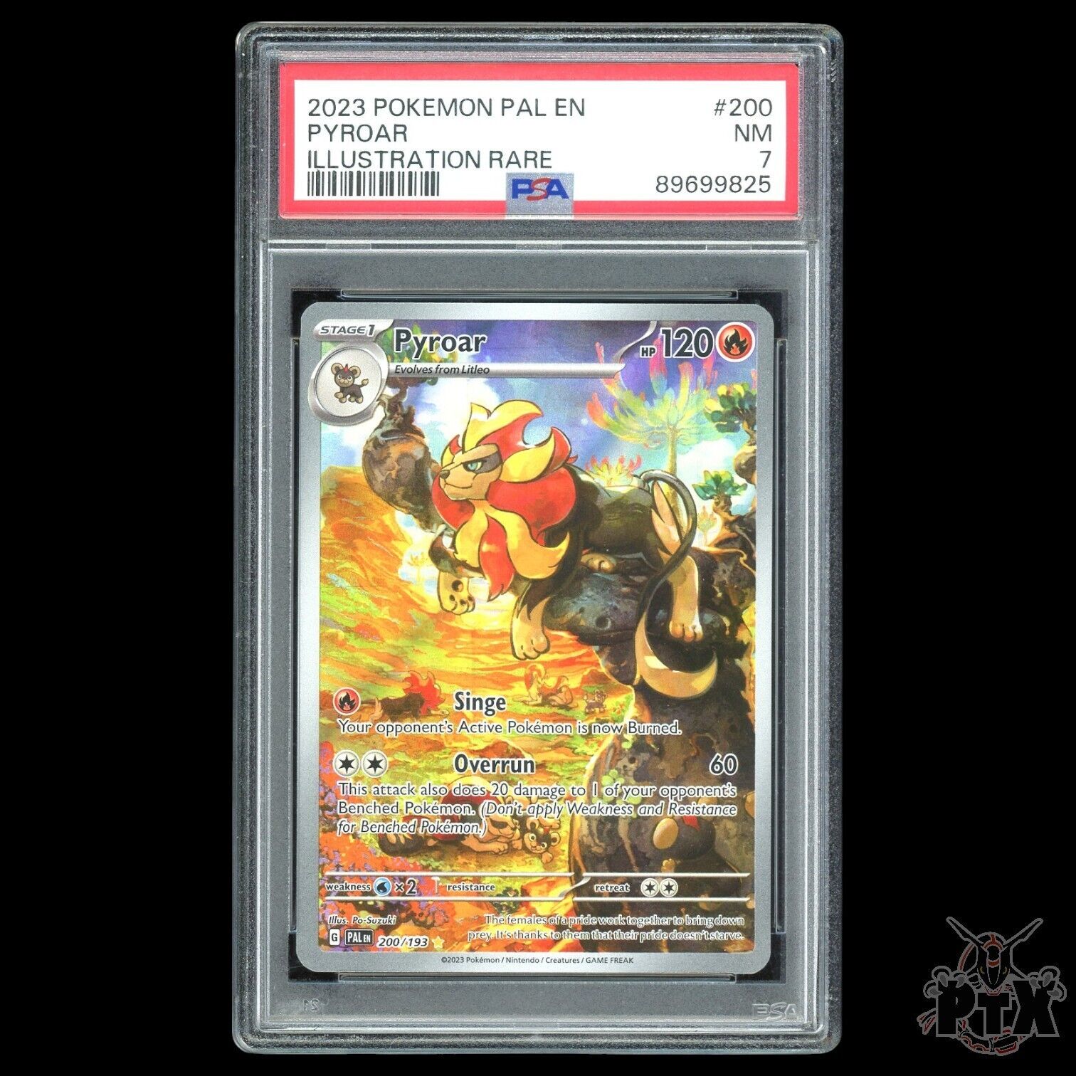 Pyroar #200/193 PSA 7 Paldea Evolved Pokemon 2023